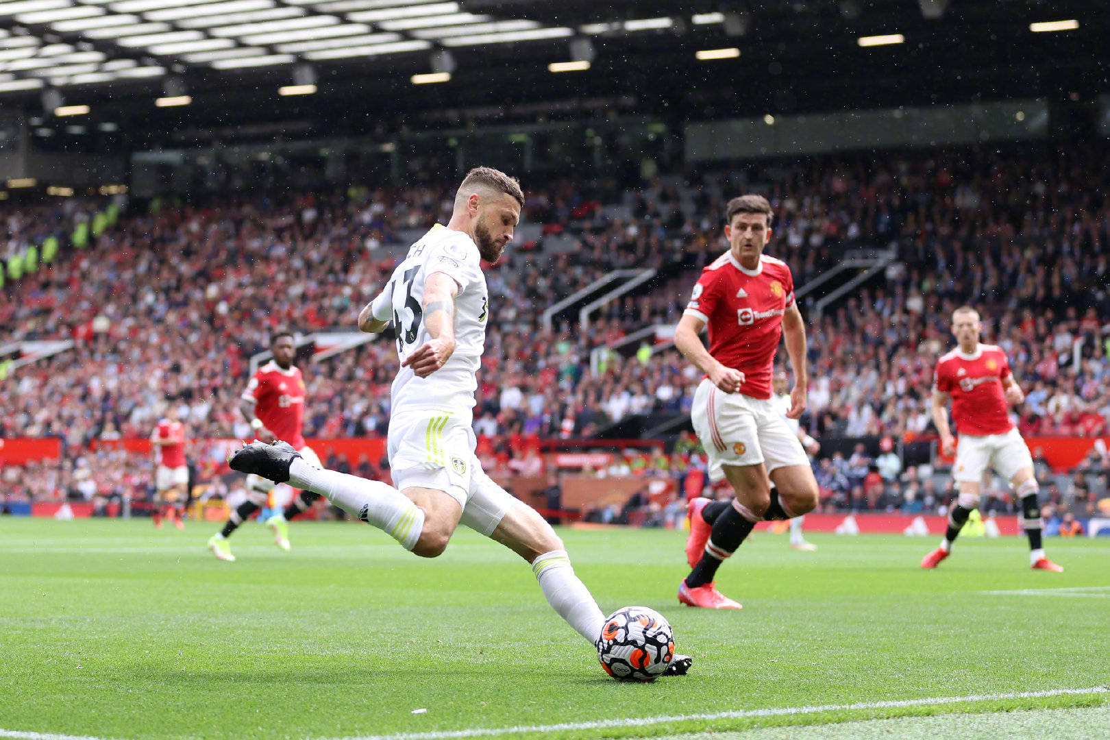 的中锋仅得 的中锋仅得